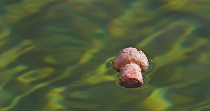 Яндекс картинки