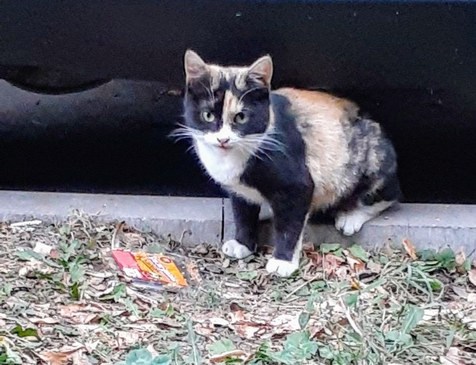 Малышка просить помощи