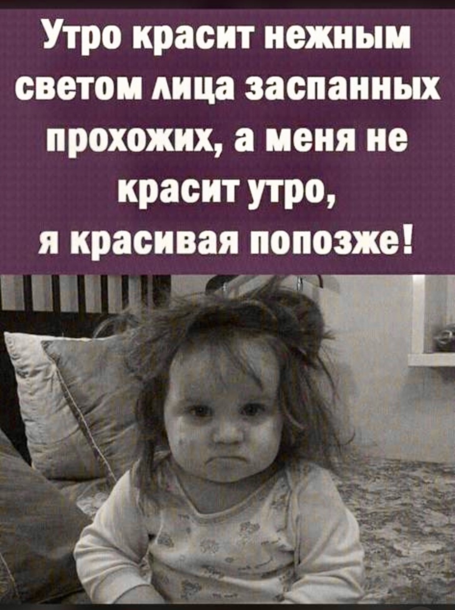 Информация из открытых источников Яндекс