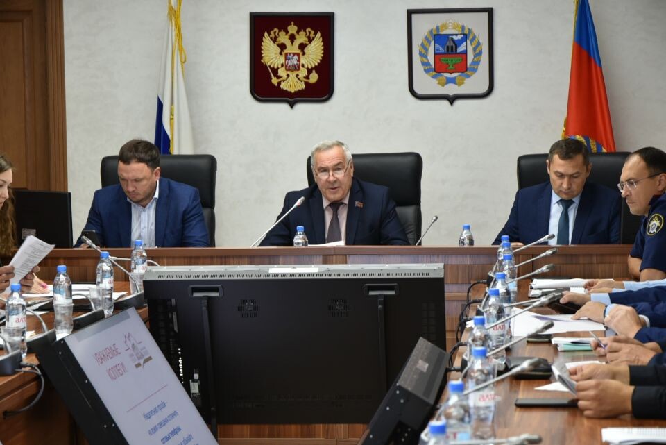    Обсуждение краевого закона об обращении с животными. Источник: Анна Жданова, пресс-служба АКЗС