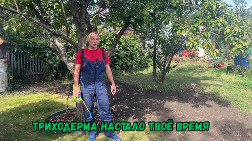 Триходерма настало твоё время