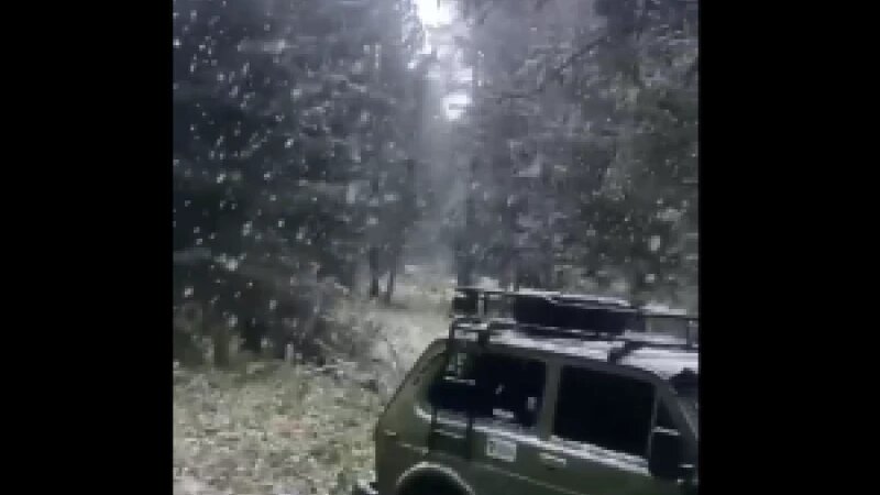     Первый снег «Бийск 22»