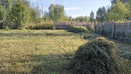 Август. Отпуск. Дом.