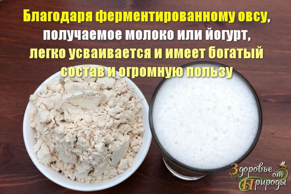 Овсяный ферментированный порошок для растительного молока