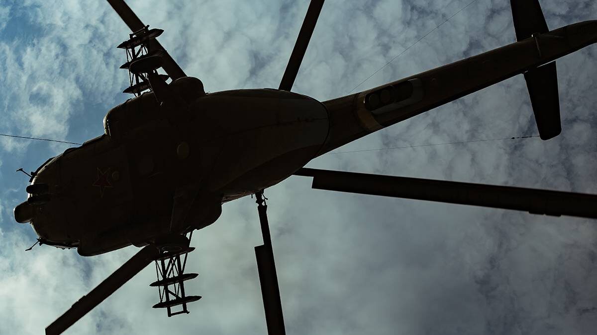    Фото: shutterstock