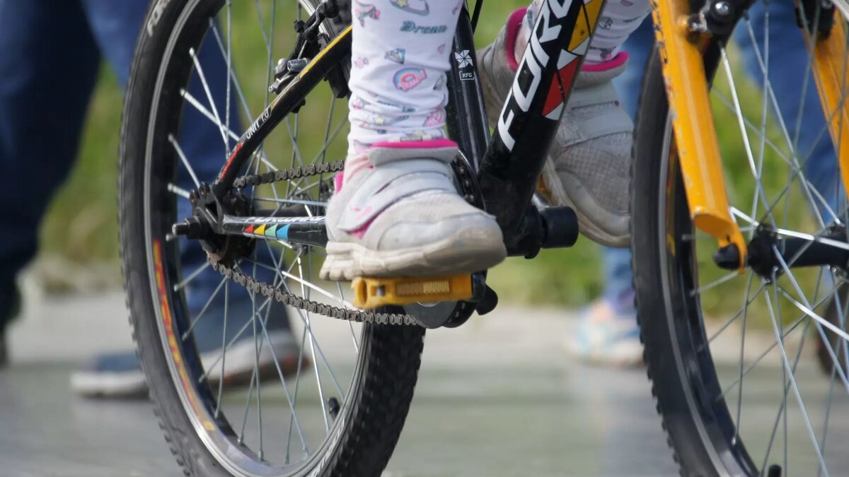     Источник: 1MI