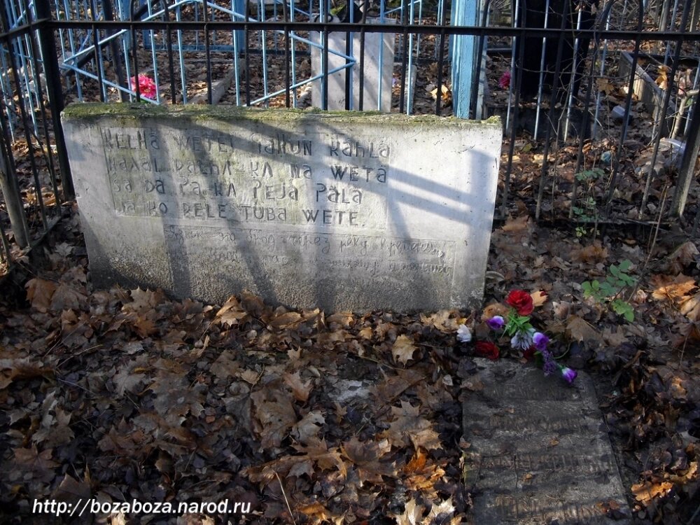    Фото: Commons.wikimedia.org