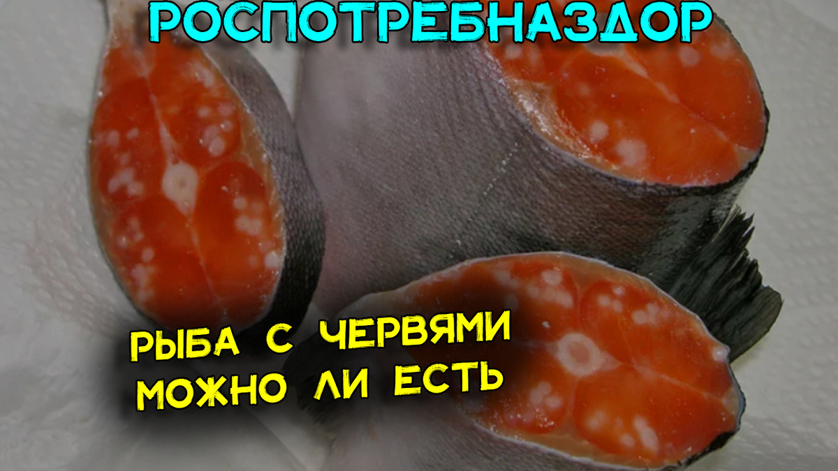 Мы едим её каждый день, но не знаем об этом. Рыба с червями – опасна или нет