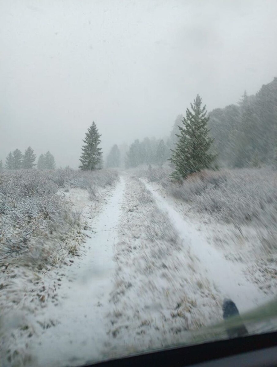    Снег. Алтай. Источник: "Республика Алтай в Telegram"