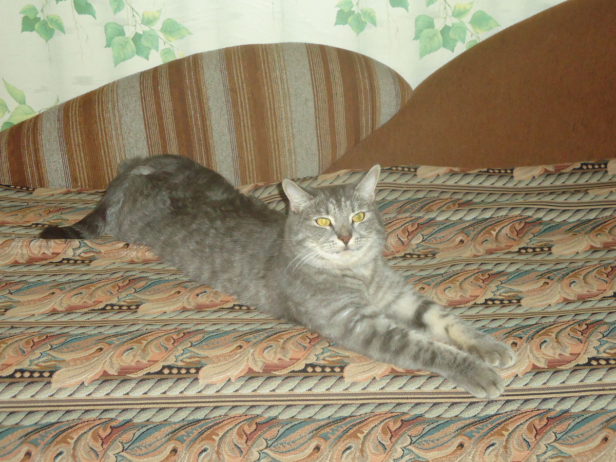 Яков Васильевич, британец, довольный и любимый. Из архива автора.