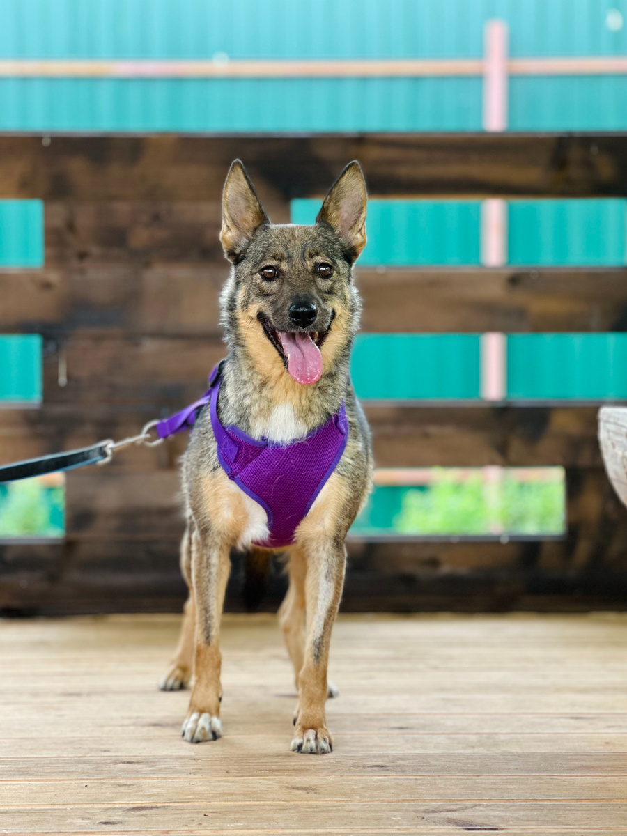 Она действительно миниатюрная.