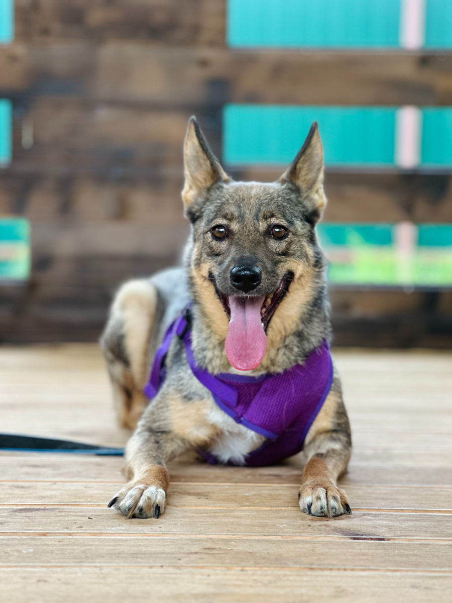 Одинаково мила и с улыбкой... 