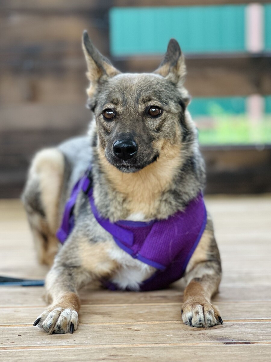 и без улыбки она также хороша.