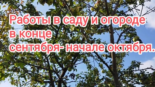 Что надо обязательно сделать в саду и огороде в конце сентября- начале октября?