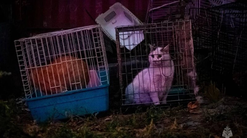     Пожар в «Бусинке». МЧС по Атайскому краю
