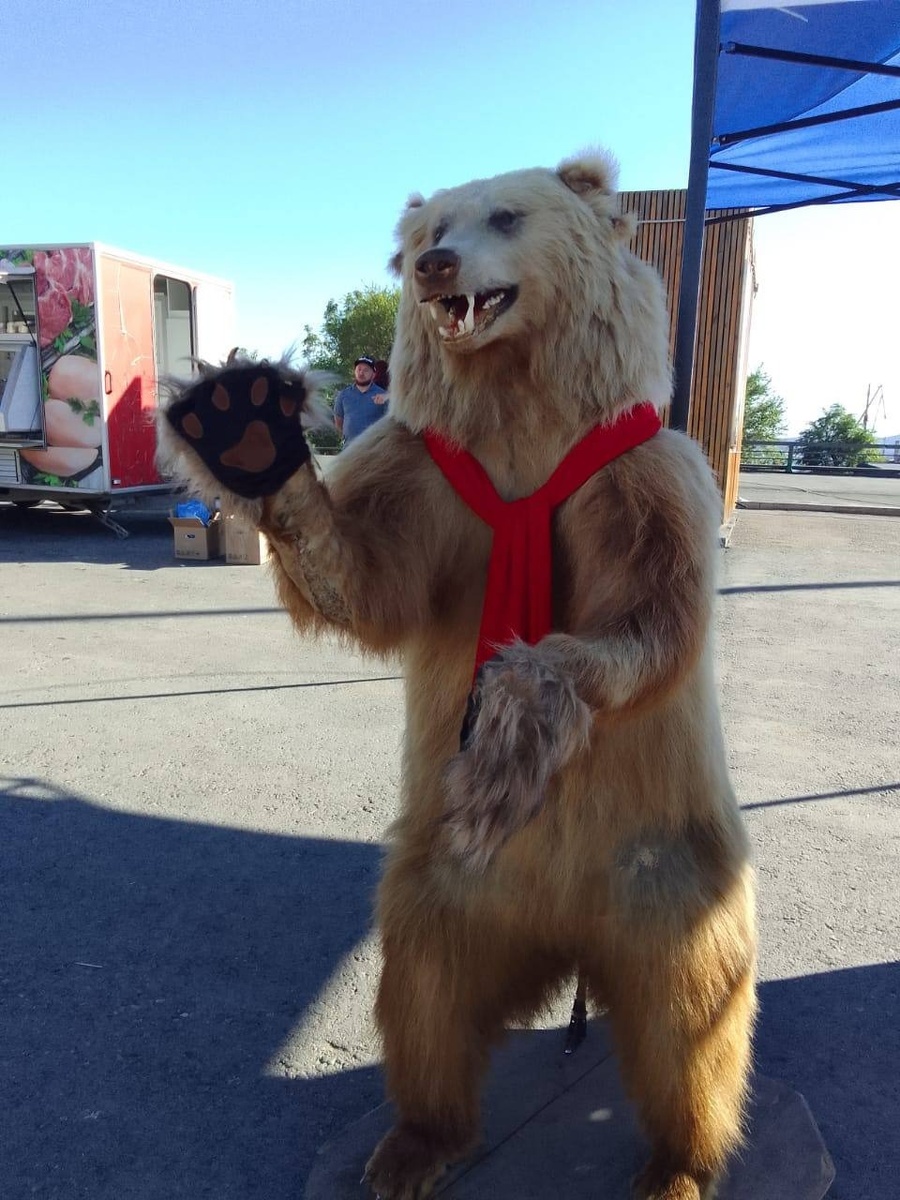     Источник: gorod_vl