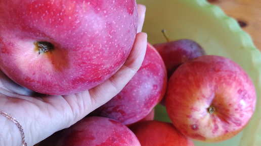 Домашний влог/ готовлю самое вкусное яблочное повидло 🍎❤️/ мысли вслух/10.09.24