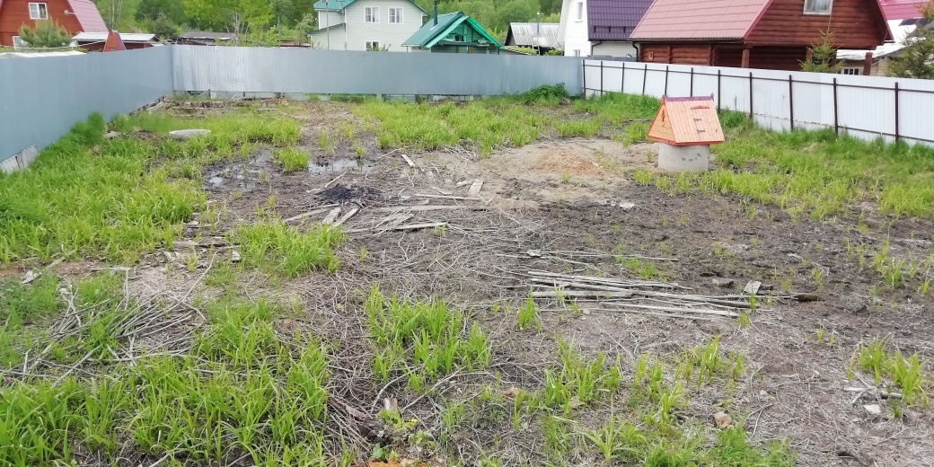 трава в мае