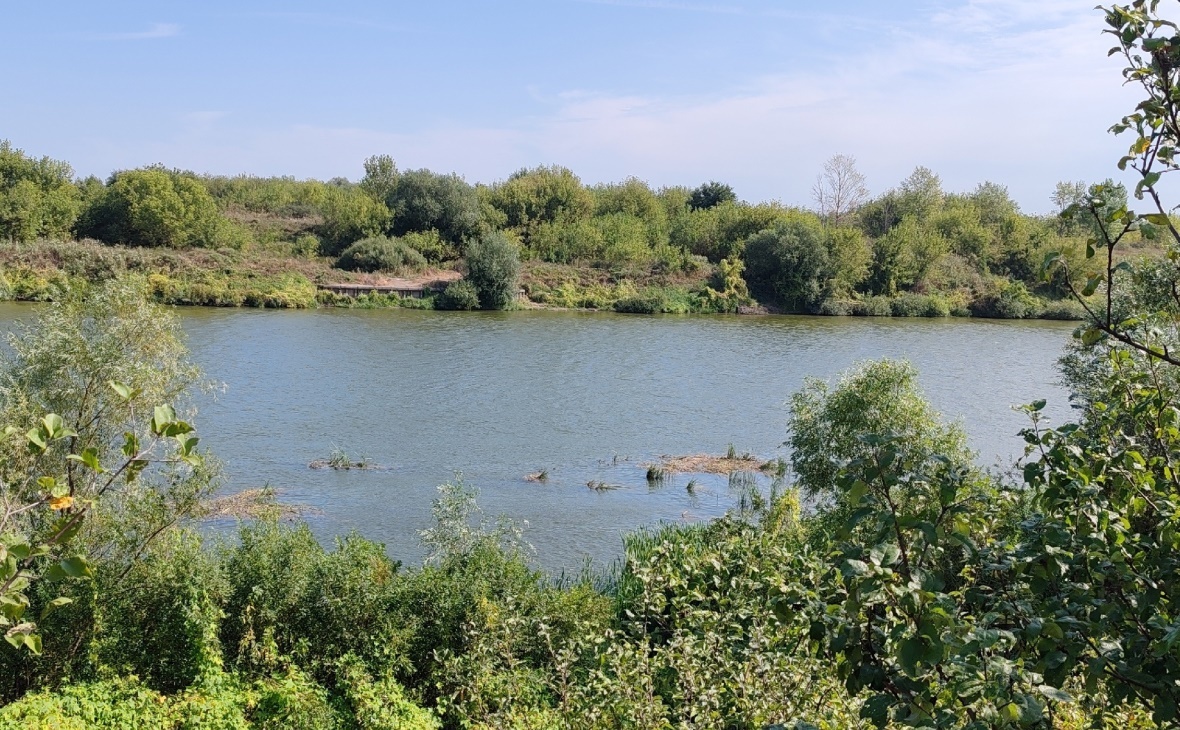 Фото: РБК Черноземье