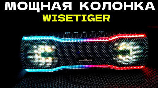 Мощная Bluetooth КОЛОНКА WISETIGER F10C