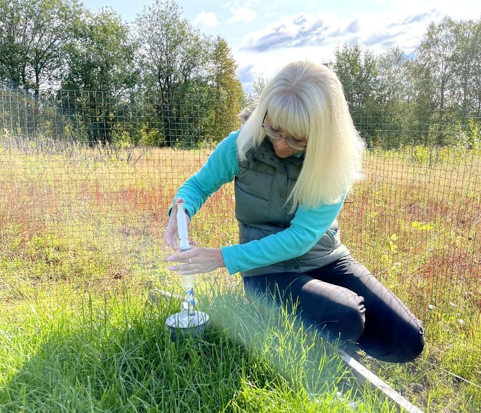 Полевые работы по сбору образцов почвы. Источник: Мария Корнейкова.