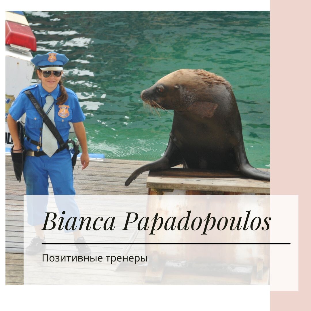 Фото: Бьянка Пападопулос, зоопарк Мельбурна; кинолог, зоопсихолог Екатерина Кастрицкая