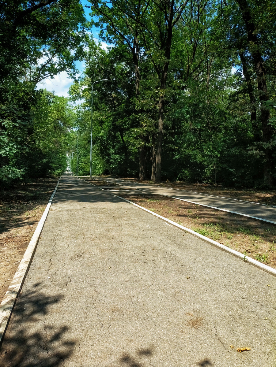 Асфальтированные дорожки в парке Авиаторов.