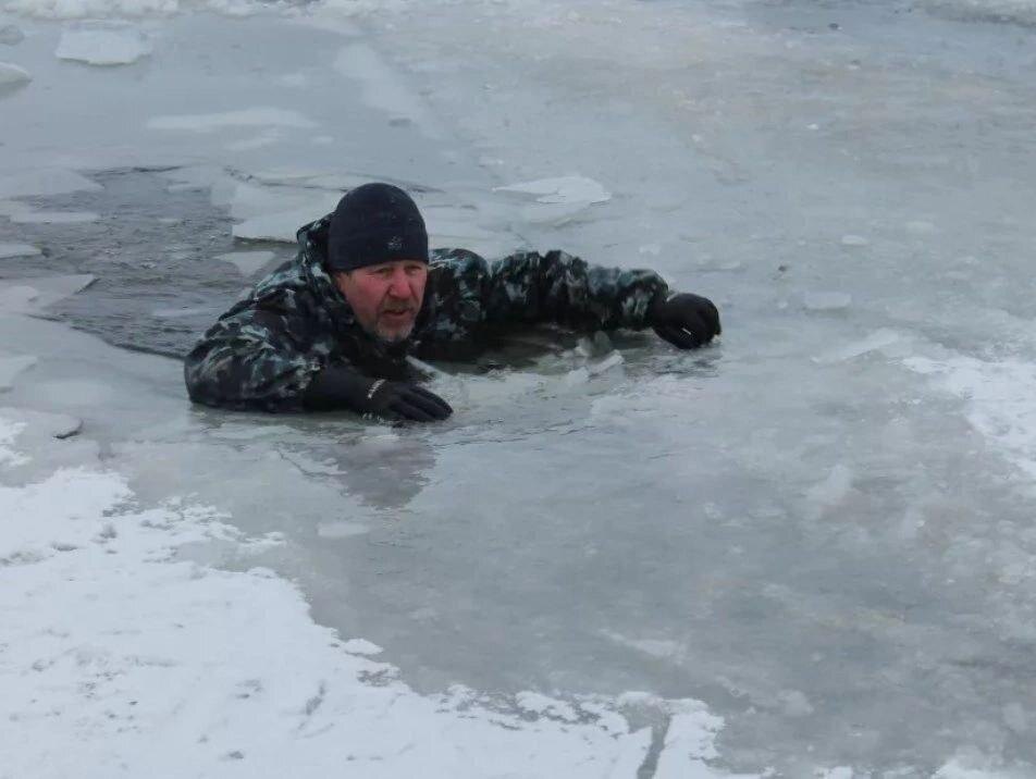 Нет, это не док. Фото для иллюстрации