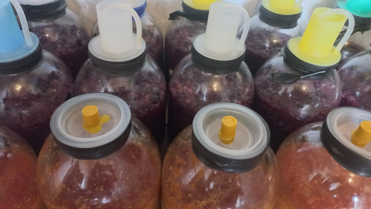 Вот такие гидрозатворы с оранжевыми крышечками. Это и другие фото в статье сделаны автором и принадлежат ему на условиях авторского права 