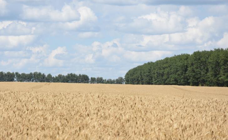    фото Курские известия