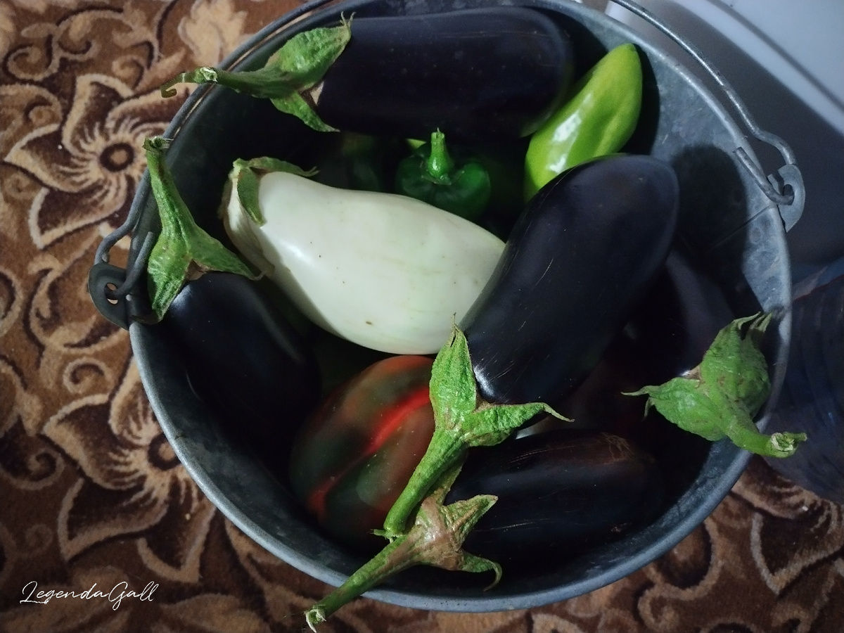 Полное ведро урожая