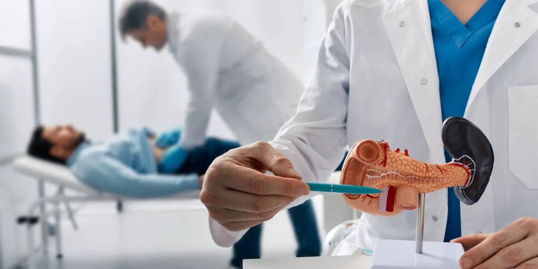 Диета при панкреатите: что можно и нельзя есть при болезни поджелудочной железы — читать на Gastronom.ru