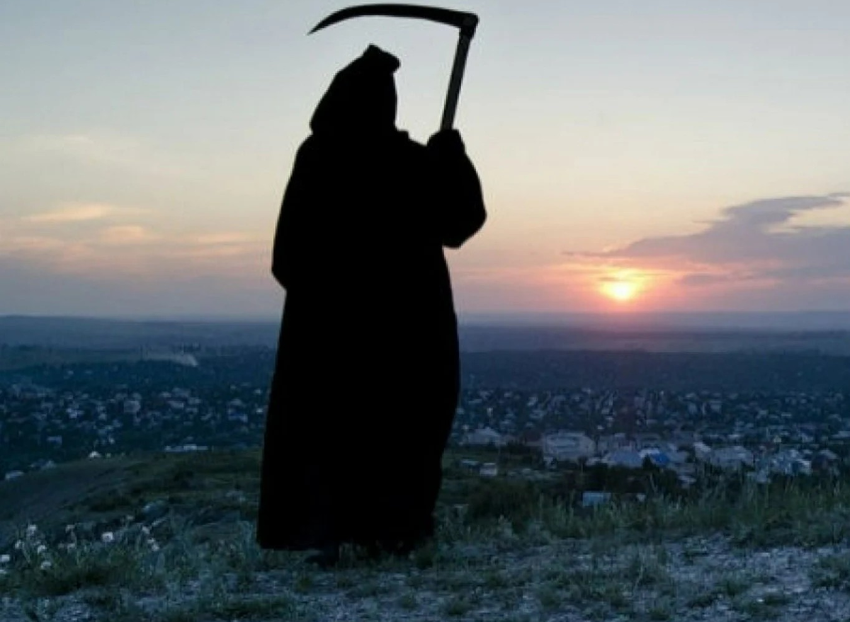 фото из интернета