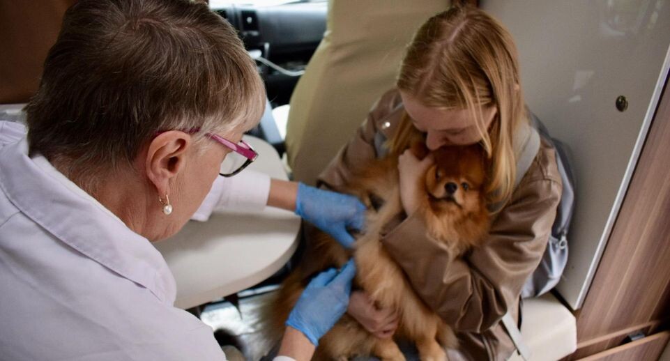    Пресс-служба администрации г.о. Химки