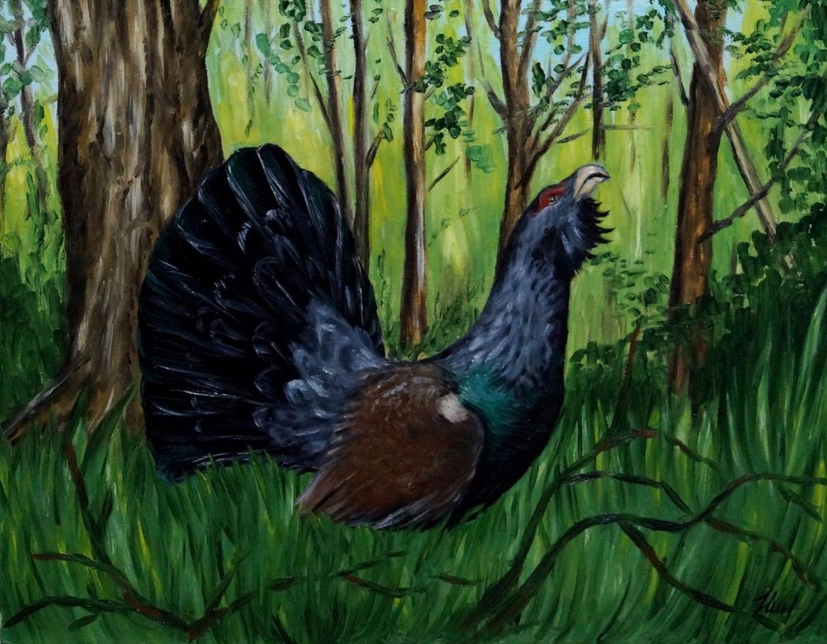 "Глухарь", Н. Швецова, масло/холст, 40*50см