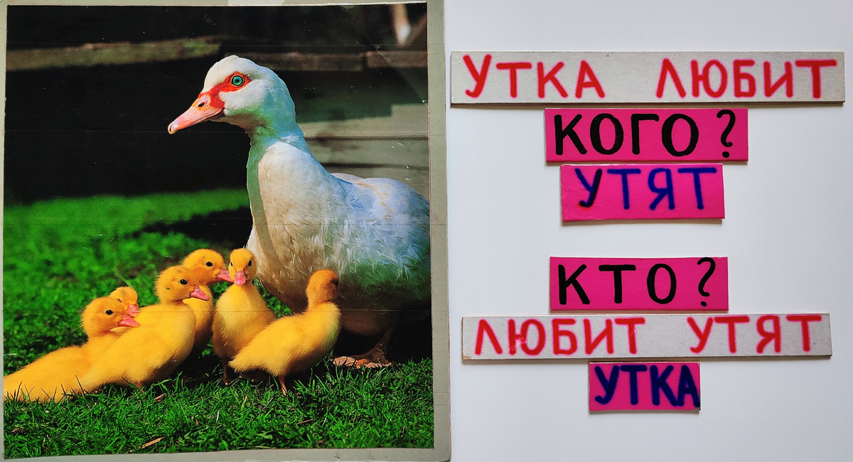 Утка с утятами