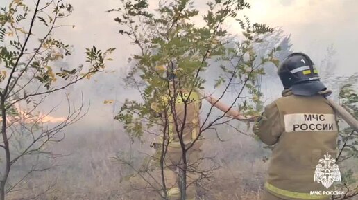 Масштаб ужасает: сильный пожар в Воронеже попал на видео читателей «Блокнота»