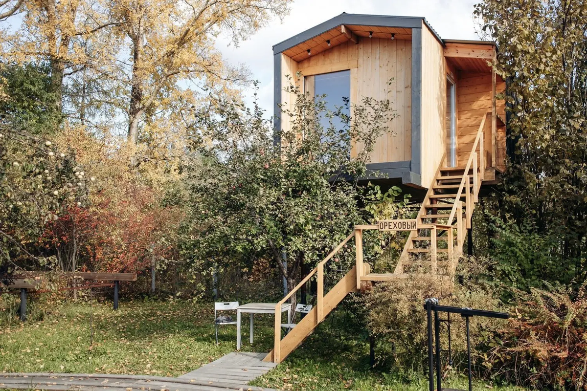 Глэмпинг Дом на дереве / Naturalist.Travel