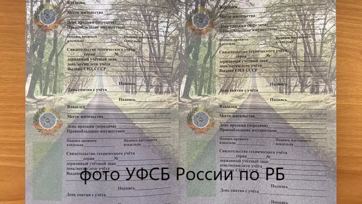     Источник: УФСБ России по РБ