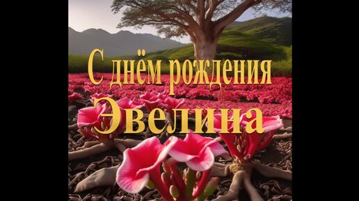 С днём рождения Эвелина