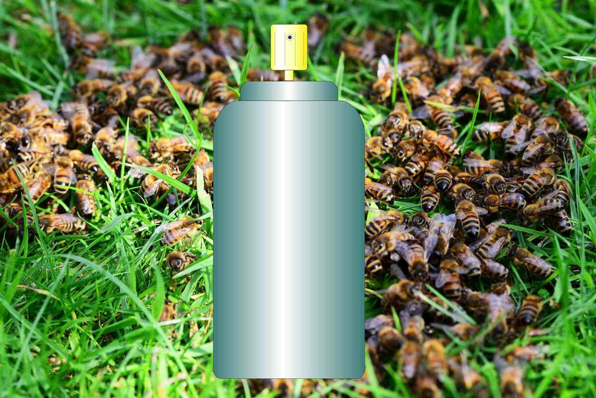 Про отравление пчел амитразом