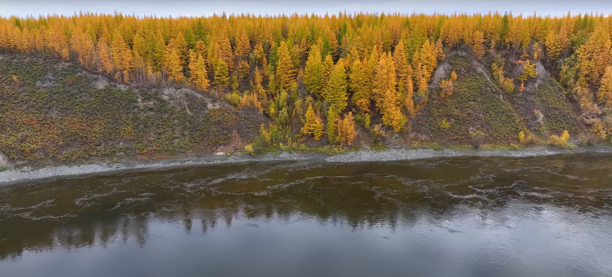 Плёс, место обитания Тайменя.