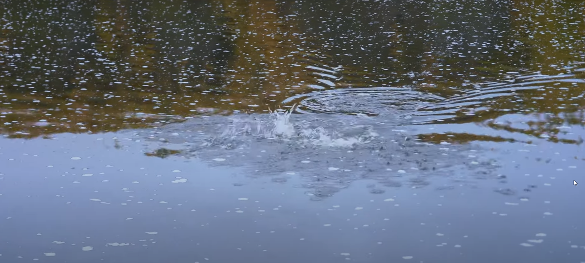 Атака Ленка на мышь.