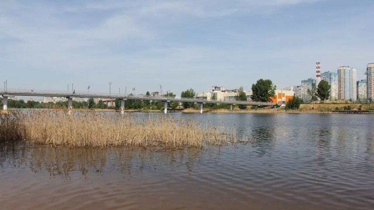     Источник: newsnn.ru