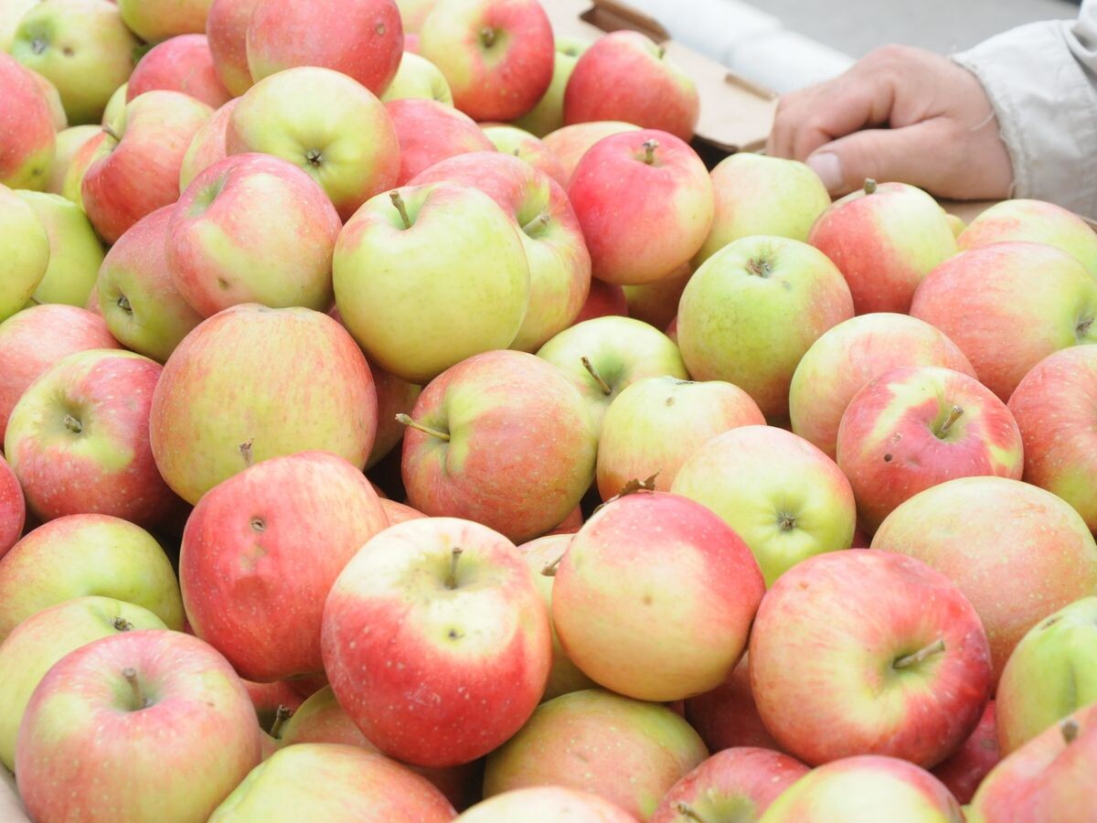 Фото: ИА Регион 71