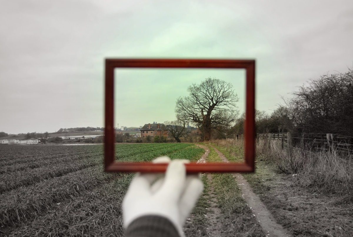 Фото взято из открытых источников