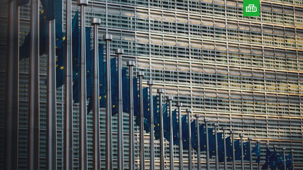    Фото: Christian Lue / unsplash.com