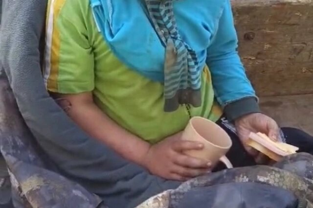    Спасённого ребёнка накормили и вернули родителям. Фото: Из личного архивa/ Роберт Сулейманов