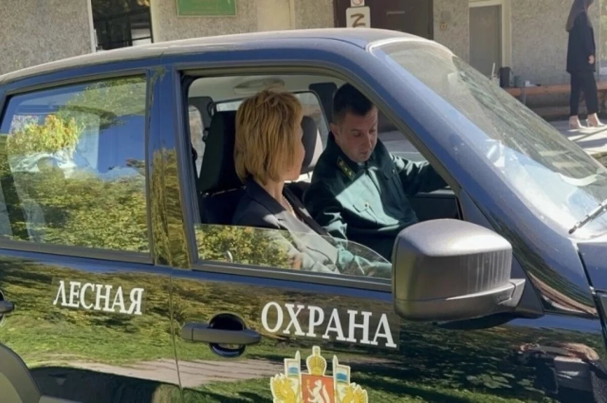    Для уральских лесничеств за пять лет купили 65 автомобилей