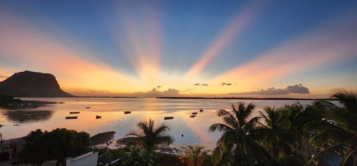 То, что мы с семьей наблюдали почти каждый вечер